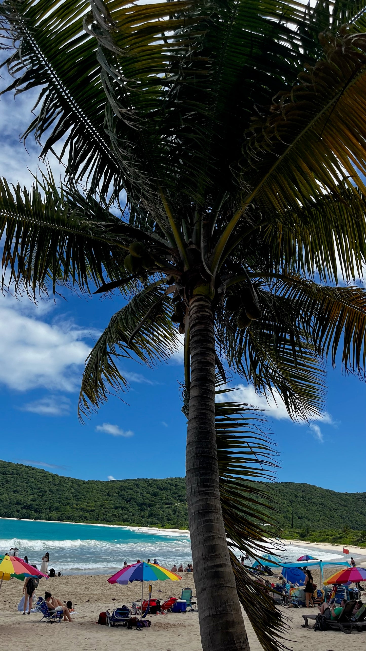 Private tour to culebra- all inclusive beach day🏝️