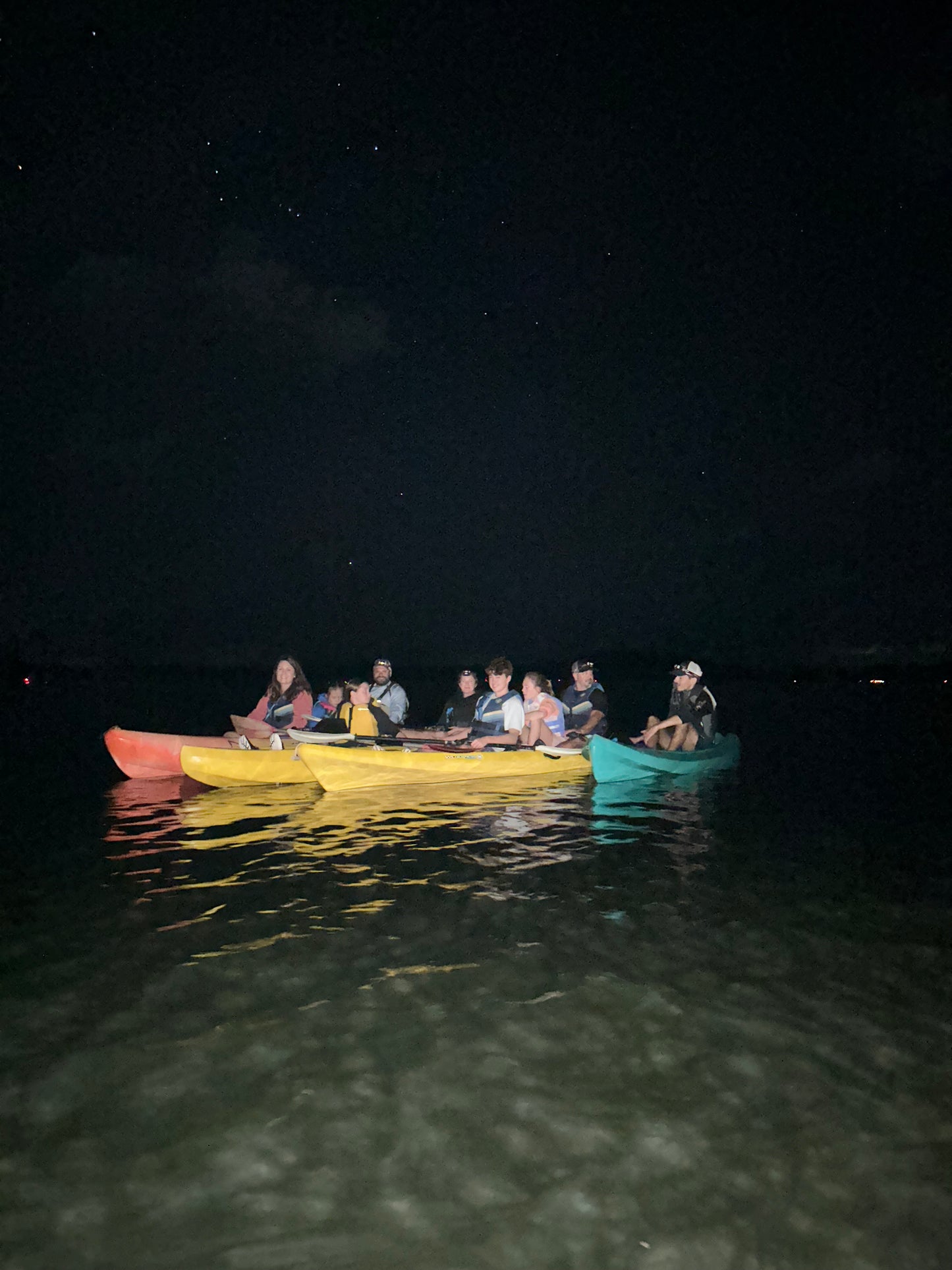 🌌 Bio Bay Night Tour Experience 🌌