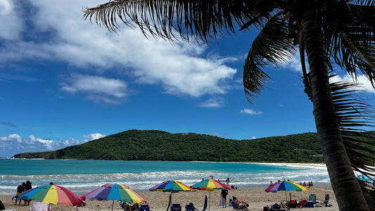 Private tour to culebra- all inclusive beach day🏝️